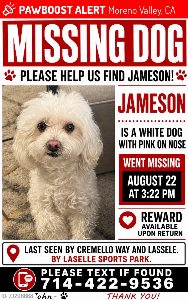 Lost Male Dog last seen Cremello Way and Lasselle, Moreno Valley, CA 92555