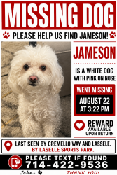 Lost Male Dog last seen Cremello Way and Lasselle, Moreno Valley, CA 92555