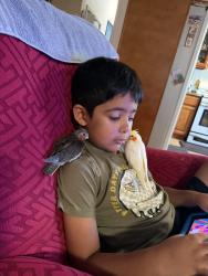 Lost Unknown Bird last seen Golf Course, Rohnert Park, CA 94928