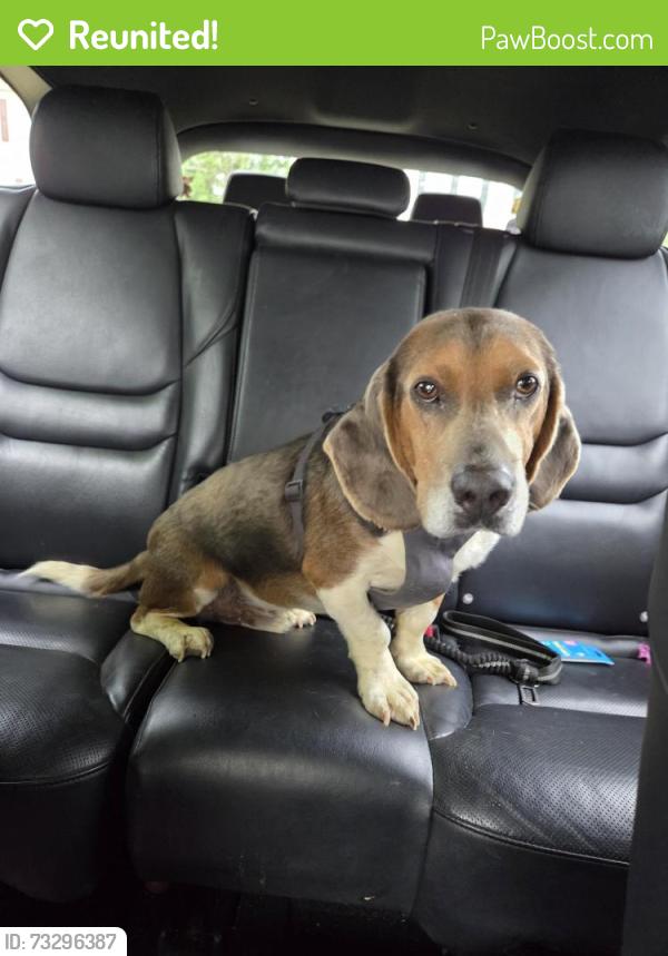 Reunited Male Dog last seen Stratford Place neighborhood, Fredericksburg, VA 22405