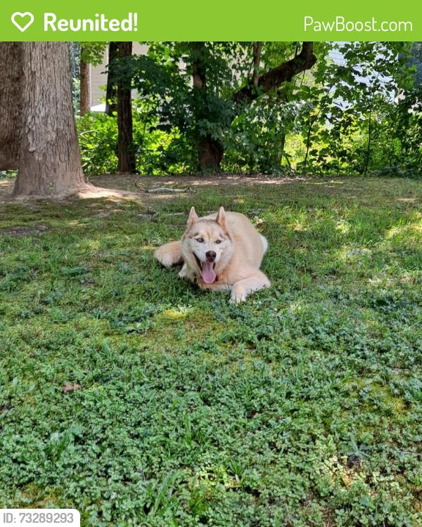 Reunited Female Dog last seen Azalea Hills subdivision, Temple, GA 30179