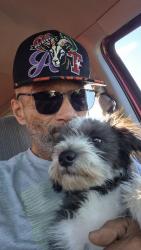 Lost Male Dog last seen Diamond St and Lillian St, Medford, OR 97501