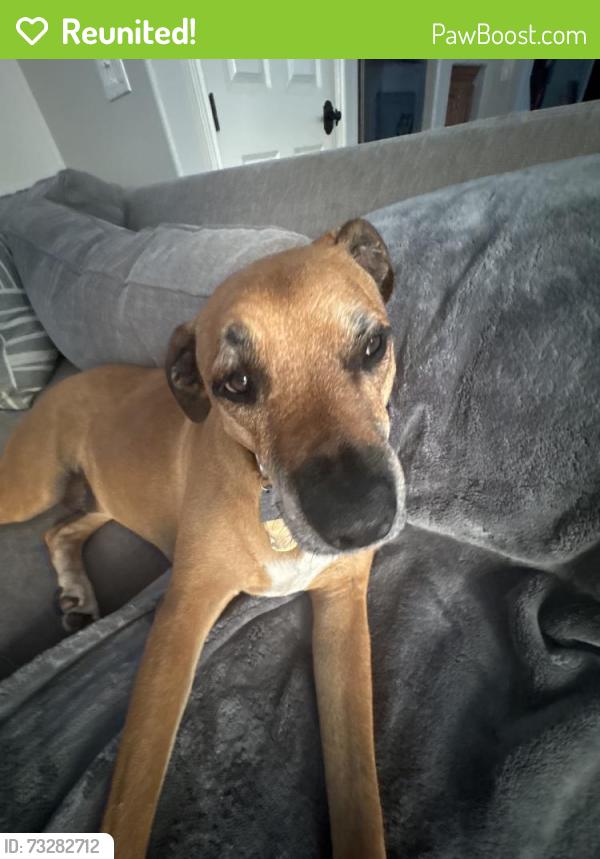 Reunited Male Dog last seen Via De La Valle, Rancho Santa Fe, CA, USA, Rancho Santa Fe, CA 92067