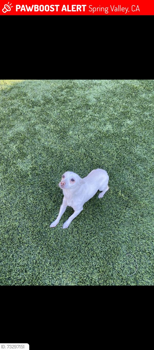 Lost Female Dog last seen Spring Valley park, Spring Valley, CA 91977