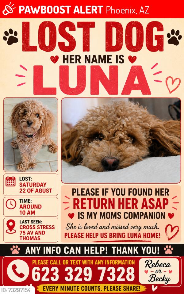 Lost Female Dog last seen Near Ave and Thomas, Phoenix, AZ 85033