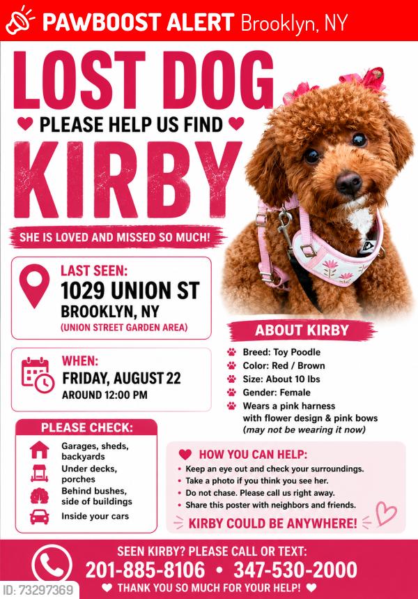 Lost Female Dog last seen Union st, Brooklyn, NY 11225