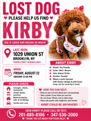 Lost Female Dog last seen Union st, Brooklyn, NY 11225