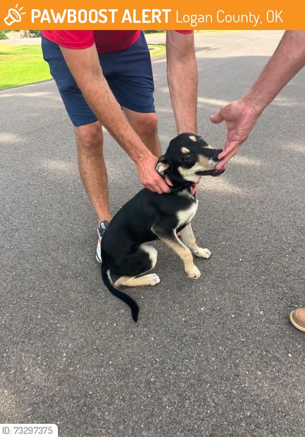 Found/Stray Male Dog last seen In neighborhood, Logan County, OK 73025