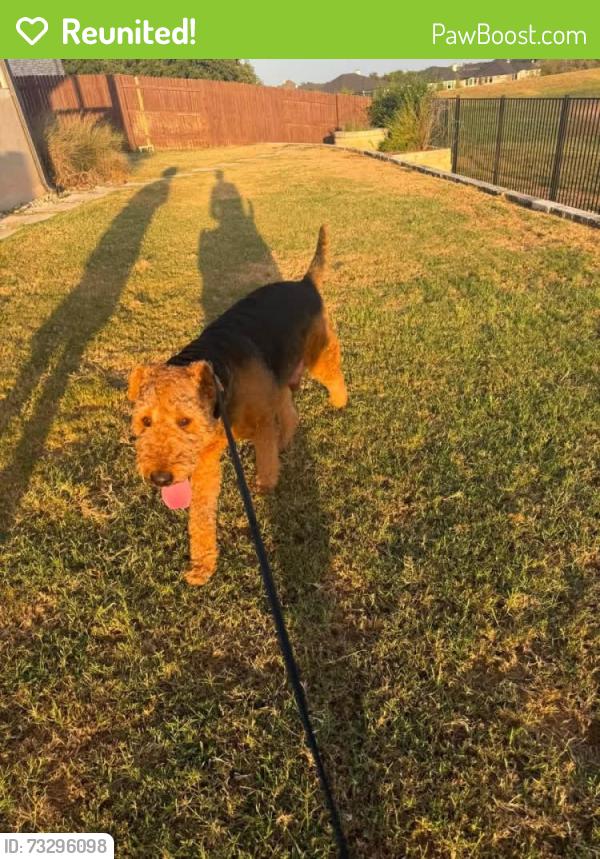 Reunited Male Dog last seen Morningstar Blvd & Kauffman Loop, Georgetown, TX 78628