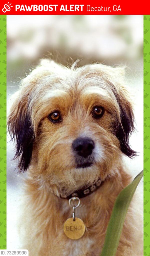 Lost Female Dog last seen Humane society, Decatur, GA 30030