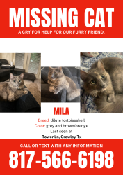Reunited Female Cat last seen Near McCart and 1187, Crowley, TX 76036