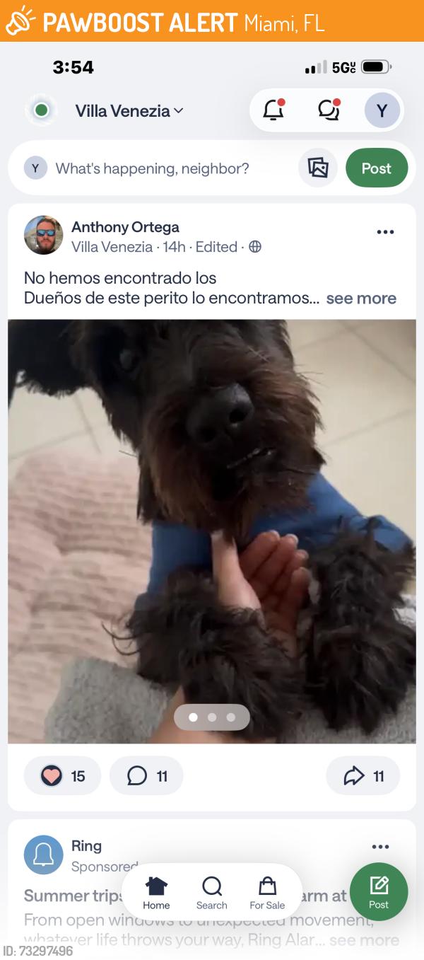 Found/Stray Unknown Dog last seen Sw124 ct, Miami, FL 33184