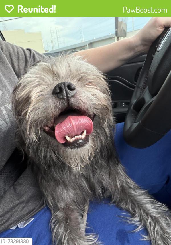 Reunited Male Dog last seen Culver and 70th, Scottsdale, AZ 85257