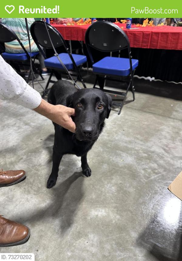 Reunited Male Dog last seen W Gate City Blvd, Greensboro, NC 27403