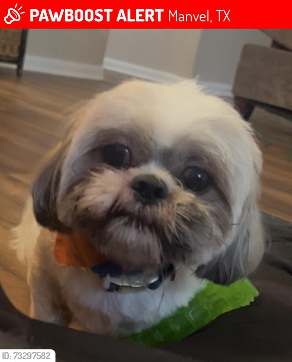 Lost Male Dog last seen Bailey rd, Manvel, TX 77578
