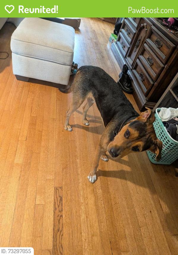 Reunited Male Dog last seen Churchill way, The Village, OK 73120