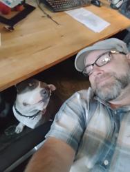 Reunited Female Dog last seen Pearl Pkwy and Goose Creek Path, Boulder, CO 80306