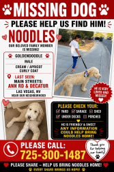 Reunited Male Dog last seen Ann road and Decatur, North Las Vegas, NV 89031