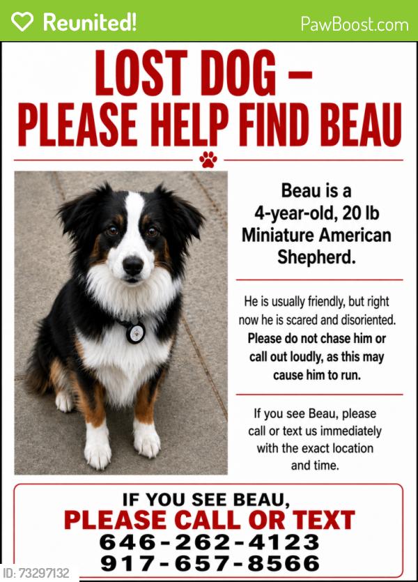 Reunited Male Dog last seen Airport Park, Mahopac, NY 10541