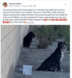 Found/Stray Unknown Dog last seen 5th ave and Fredericks Street, Coachella, CA 92236