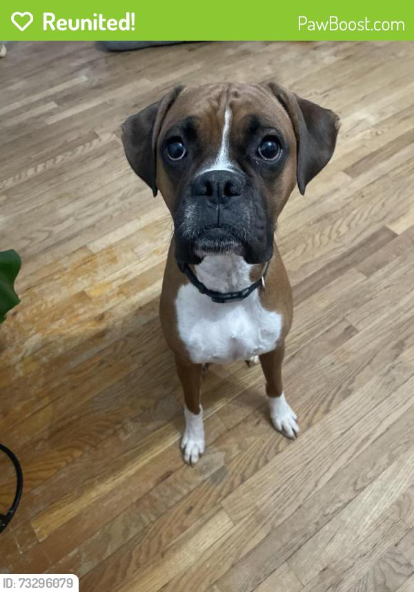 Reunited Male Dog last seen MacLand road, Marietta, GA 30064