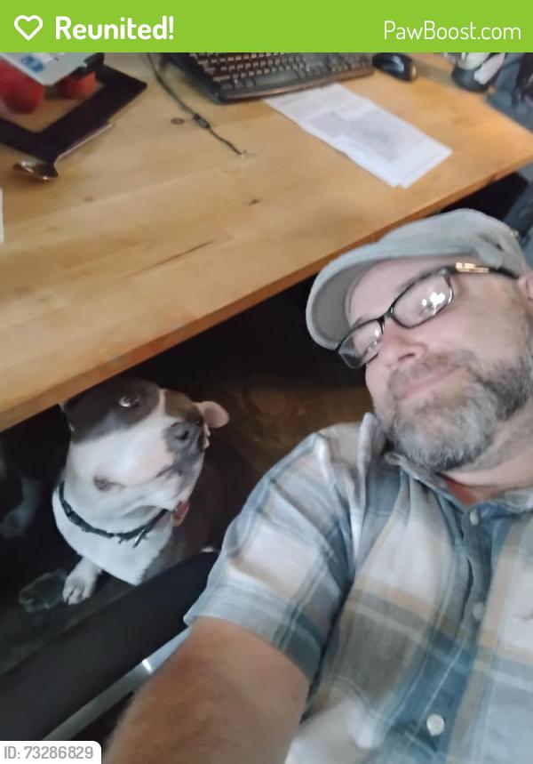Reunited Female Dog last seen Pearl Pkwy and Goose Creek Path, Boulder, CO 80306