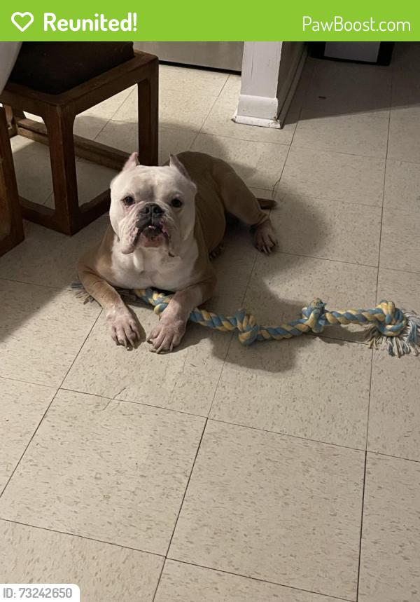 Reunited Male Dog last seen Kentucky Holt Rd, Indianapolis, IN 46204