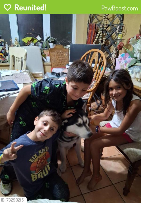 Reunited Male Dog last seen Blanco and Tamworth, San Antonio, TX 78213