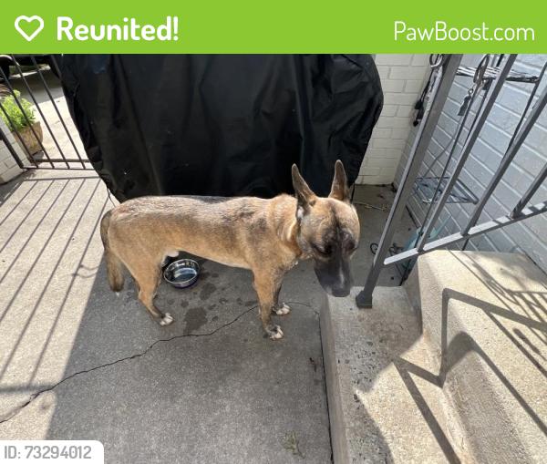 Reunited Male Dog last seen Near graham rd, Greensboro, NC 27410