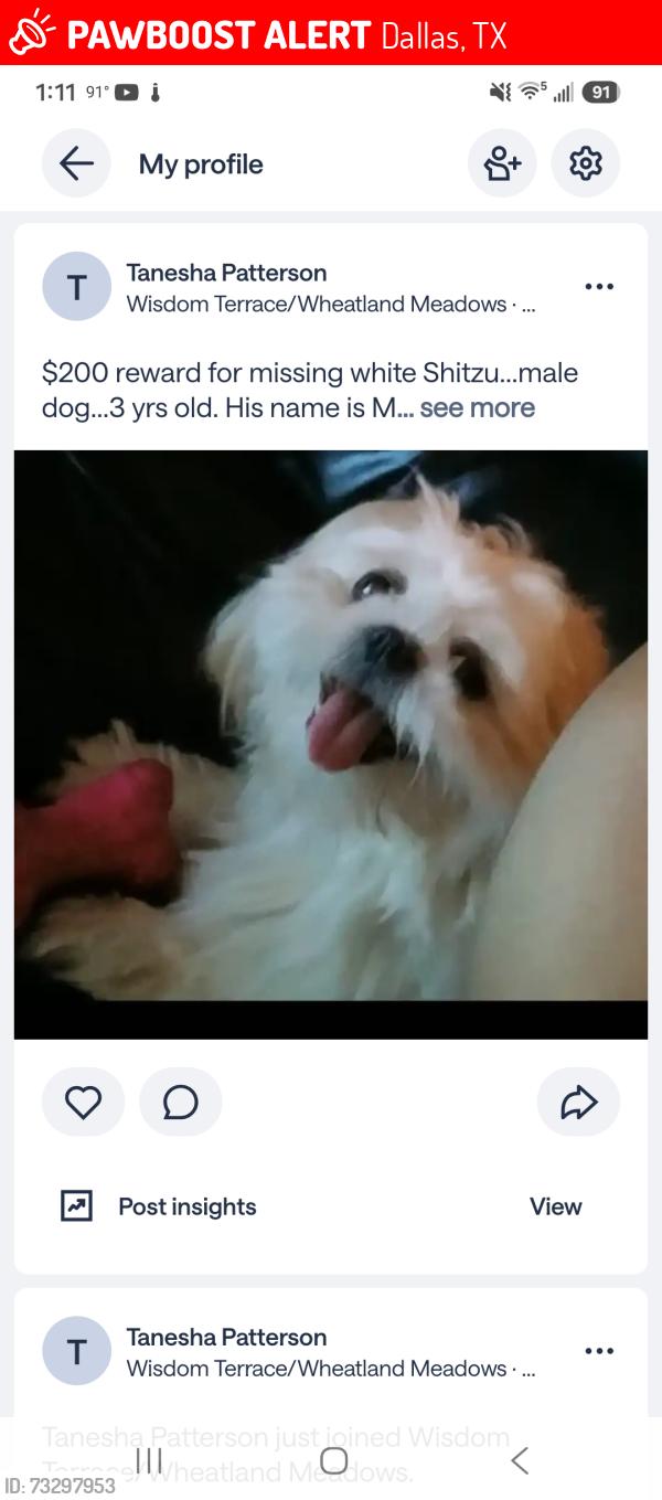 Lost Male Dog last seen Kirnwood and interstate 35, Dallas, TX 75241