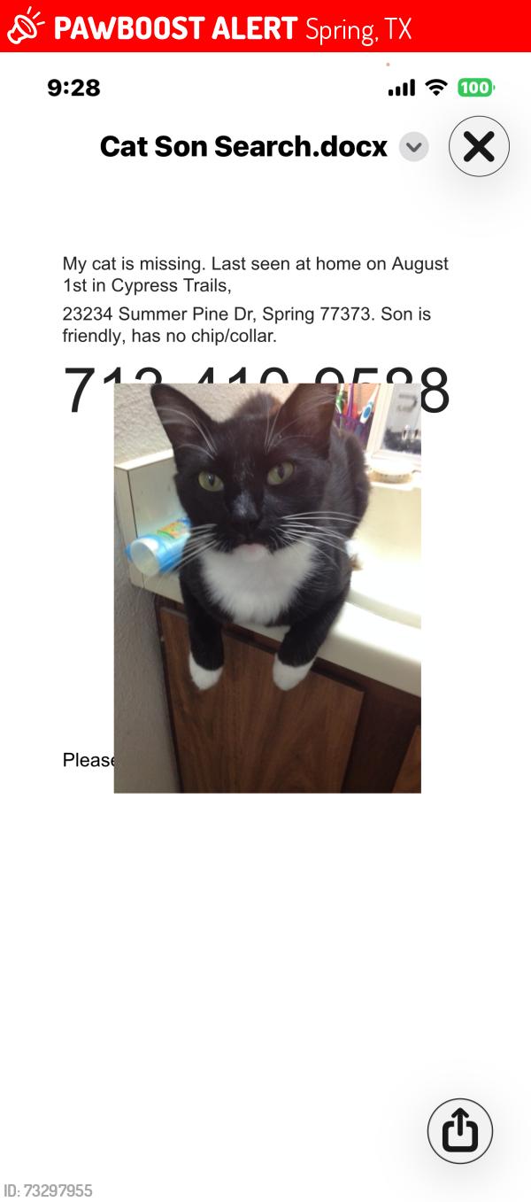 Lost Male Cat last seen Tree hse, Spring, TX 77373