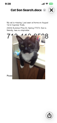 Lost Male Cat last seen Tree hse, Spring, TX 77373