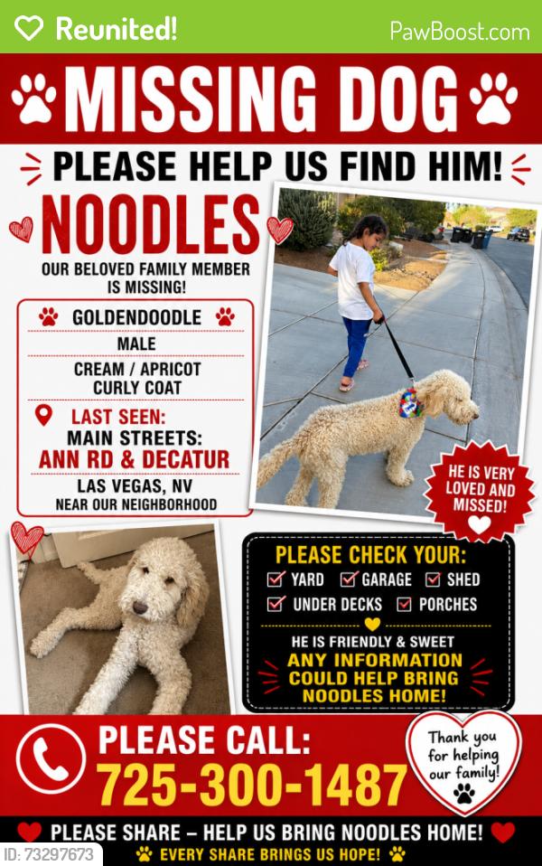Reunited Male Dog last seen Ann road and Decatur, North Las Vegas, NV 89031