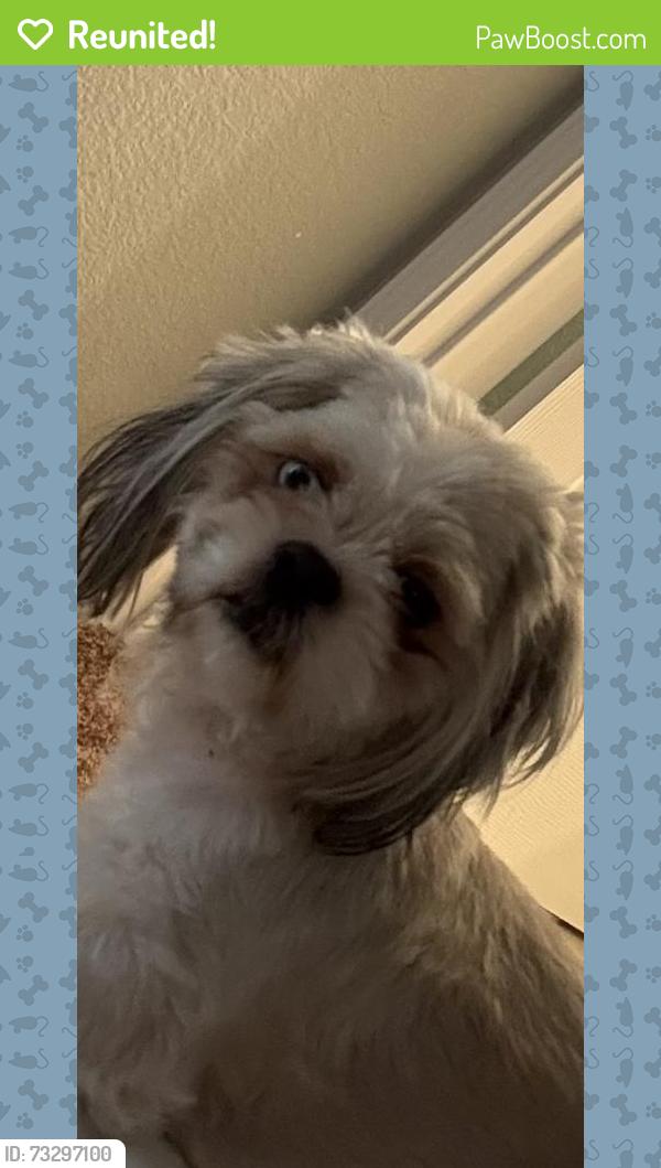 Reunited Female Dog last seen Shaver and Spencer, Pasadena, TX 77502