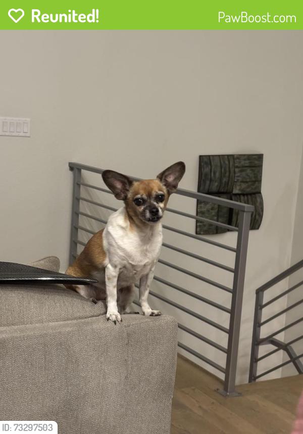 Reunited Male Dog last seen Mississippi and Troy, Aurora, CO 80012