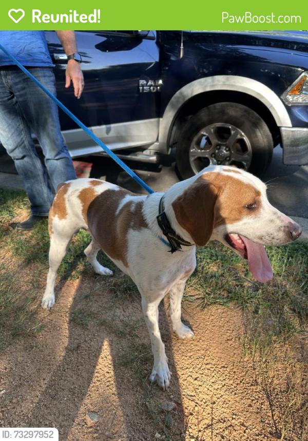 Reunited Male Dog last seen Wakefield Pines Dr & Sargas St, Raleigh, NC 27614, USA, Raleigh, NC 27614