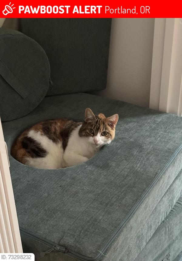 Lost Female Cat last seen Taylor’s Ferry & 82nd, Portland, OR 97223