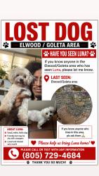 Reunited Female Dog last seen Hollister, Goleta, CA 93117