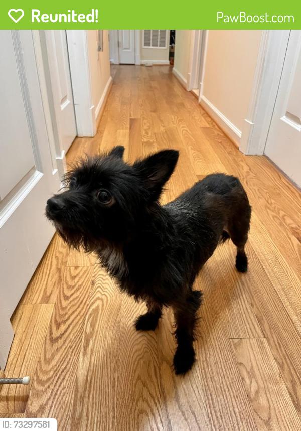 Reunited Male Dog last seen Old Mount Vernon Highway, Mount Vernon, VA 22309