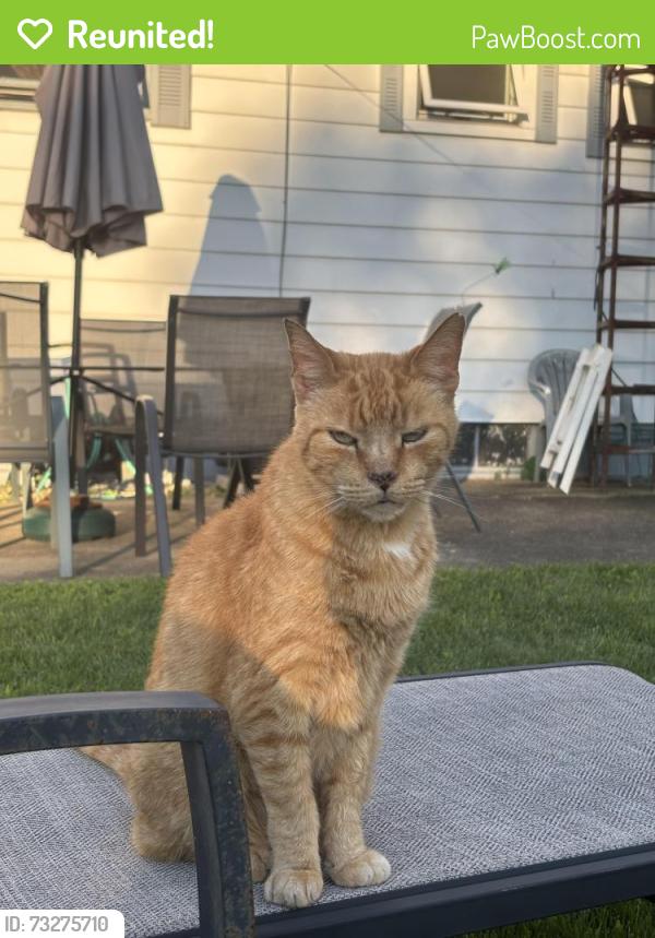 Reunited Male Cat last seen Walkerton United Methodist Church, Walkerton, IN 46574