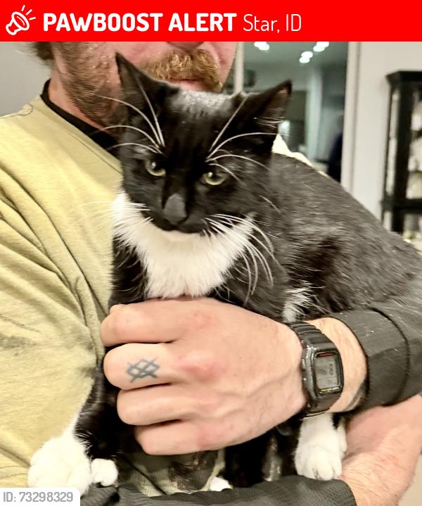 Lost Female Cat last seen Plummer and Pollard, Star, ID 83616