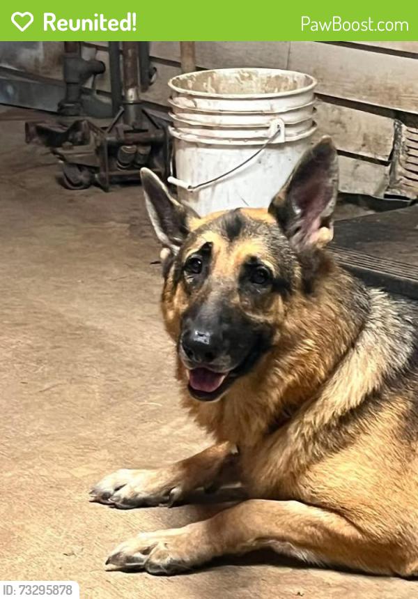 Reunited Male Dog last seen Comanche by Hay Market Park, New Braunfels, TX 78130