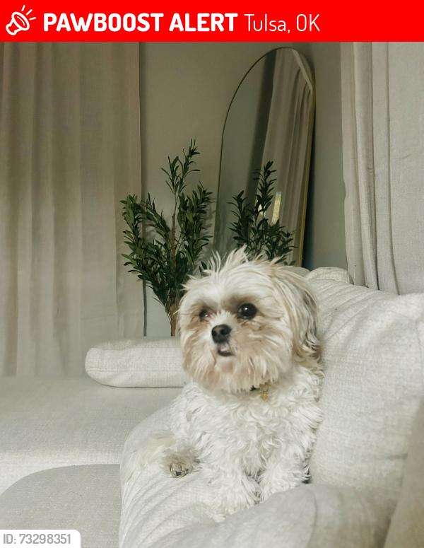 Lost Female Dog last seen By the expo, Tulsa, OK 74133
