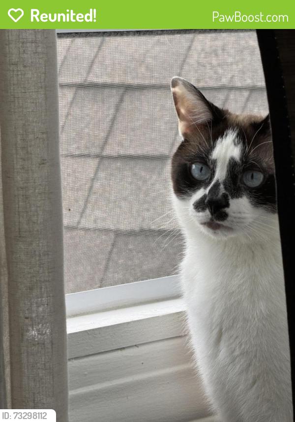 Reunited Male Cat last seen Near Berkeley Rd, Cleveland Heights, OH 44118