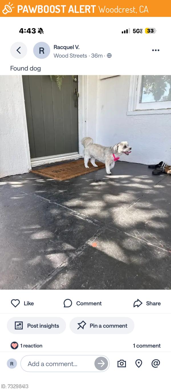 Found/Stray Female Dog last seen Bandini and Osborne, Woodcrest, CA 92504