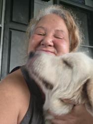 Reunited Female Dog last seen Near, Marion County, FL 34420