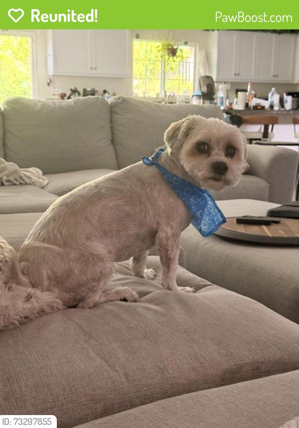 Reunited Male Dog last seen Larkstone, Fontana, CA 92336