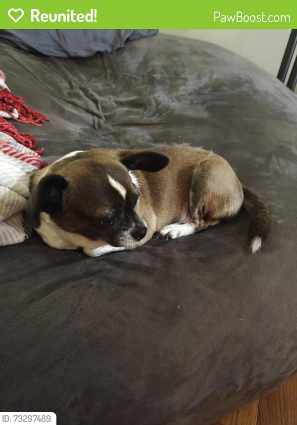 Reunited Male Dog last seen Mount Zion Methodist Church, Cleveland, TN 37311