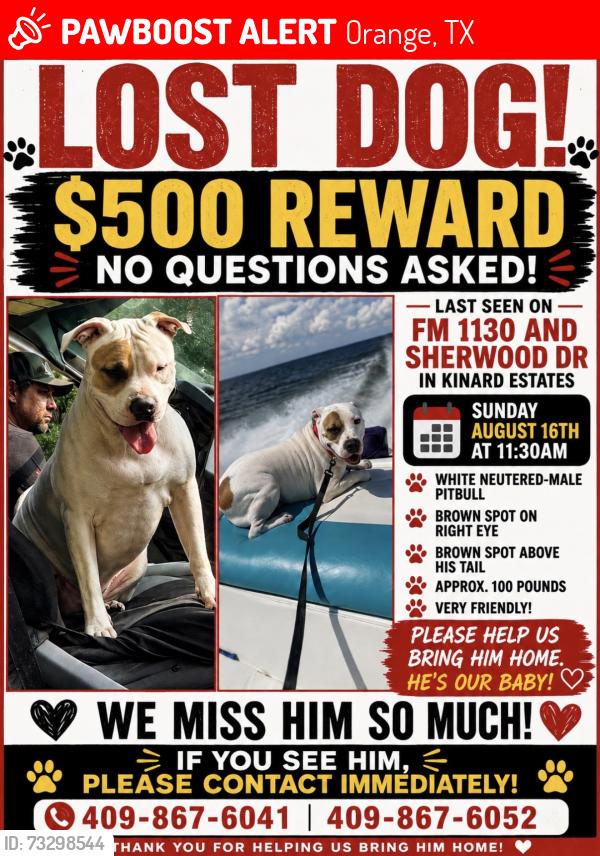 Lost Male Dog last seen Brent Drive Orange Texas, Orange, TX 77632