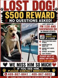 Lost Male Dog last seen Brent Drive Orange Texas, Orange, TX 77632
